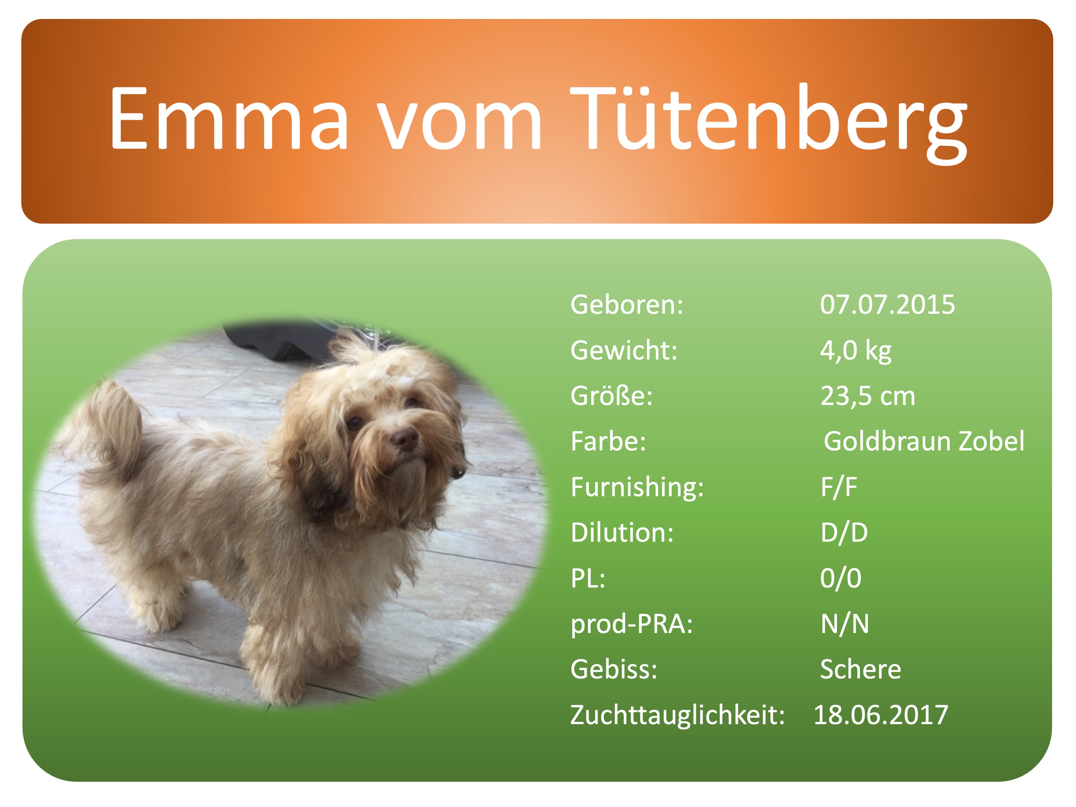 Emma's Daten